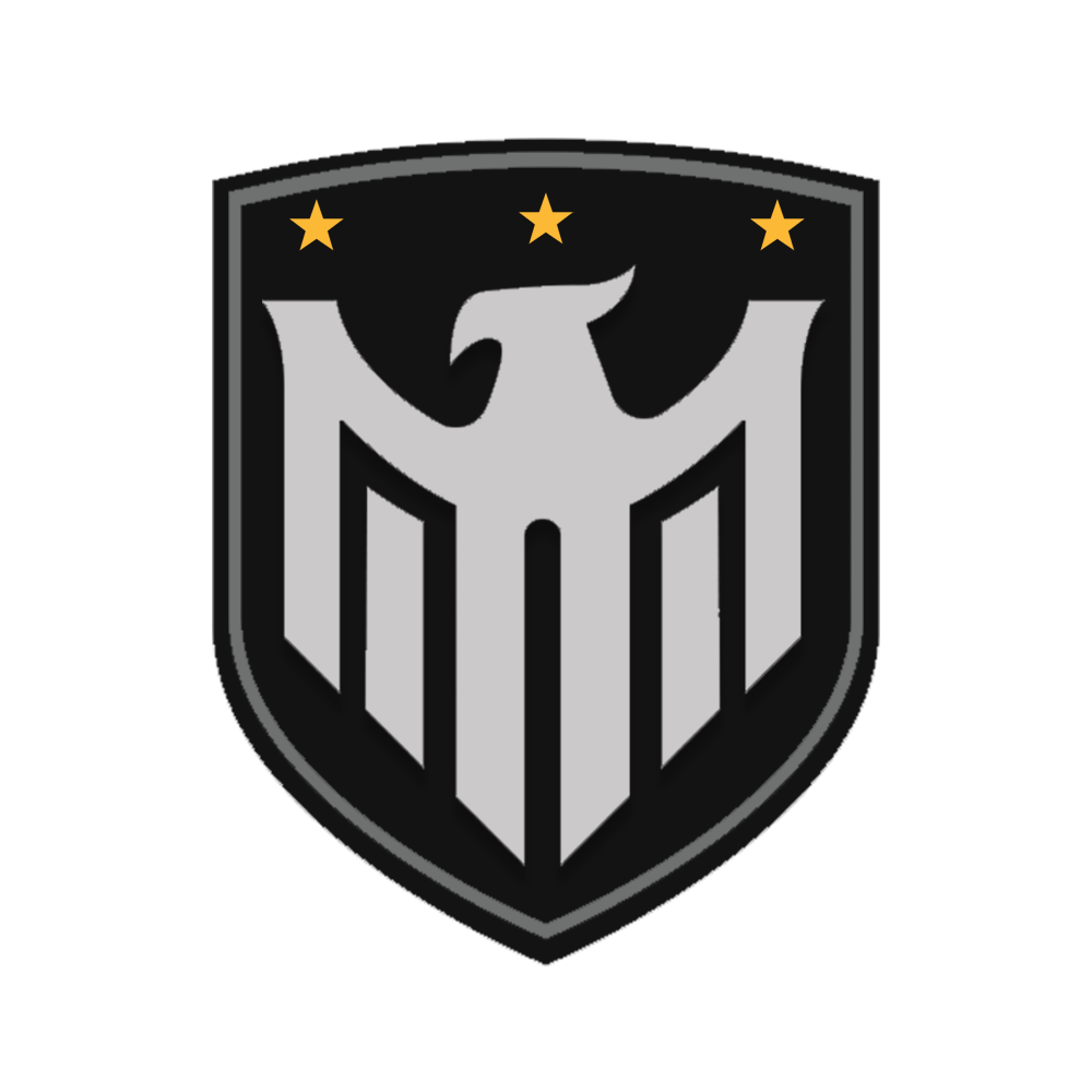 Sentry Director